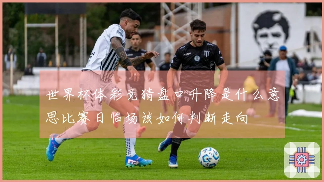 世界杯体彩竞猜盘口升降是什么意思比赛日临场该如何判断走向