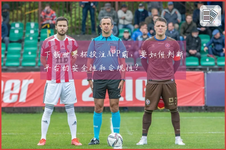 下载世界杯投注APP前，要如何判断平台的安全性和合规性？