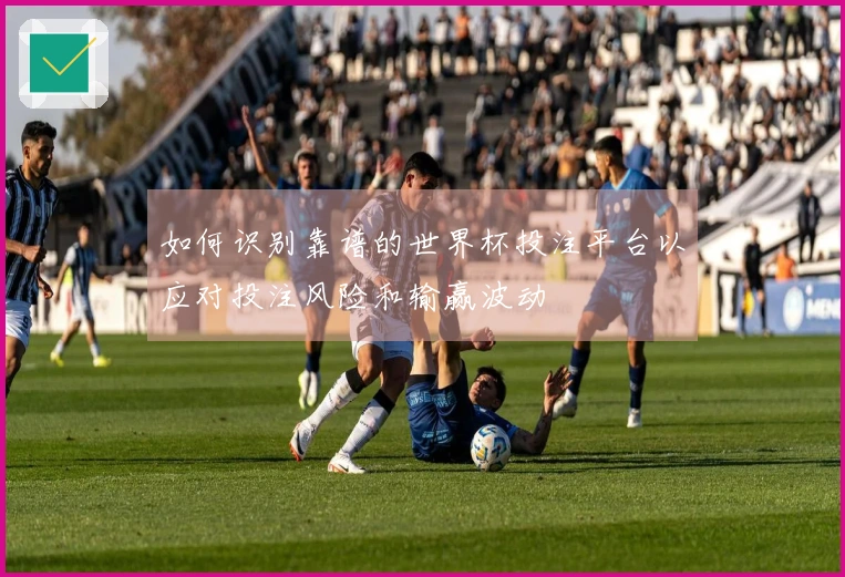 如何识别靠谱的世界杯投注平台以应对投注风险和输赢波动